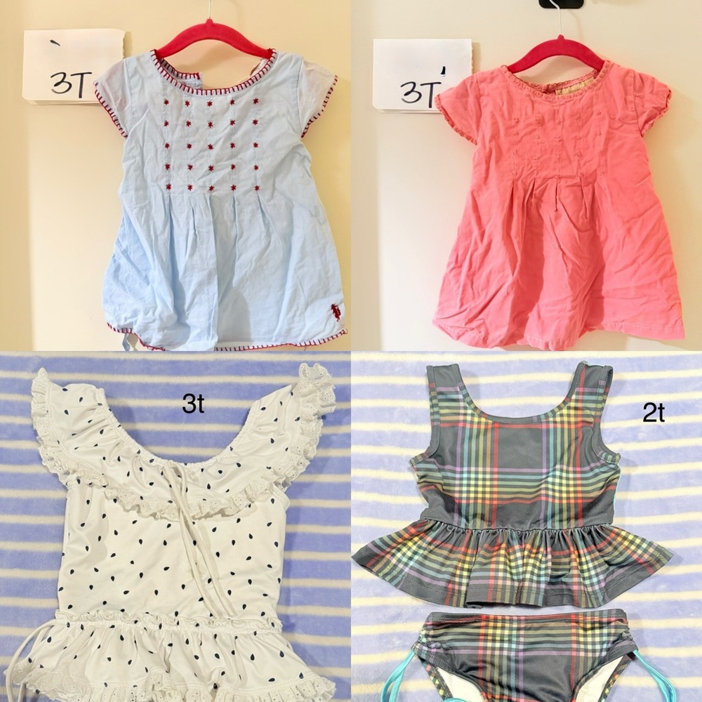 Well Dresses Wolf lot size 2t-3t